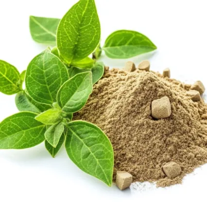 Fresh green leaves beside a small pile of tan herbal powder